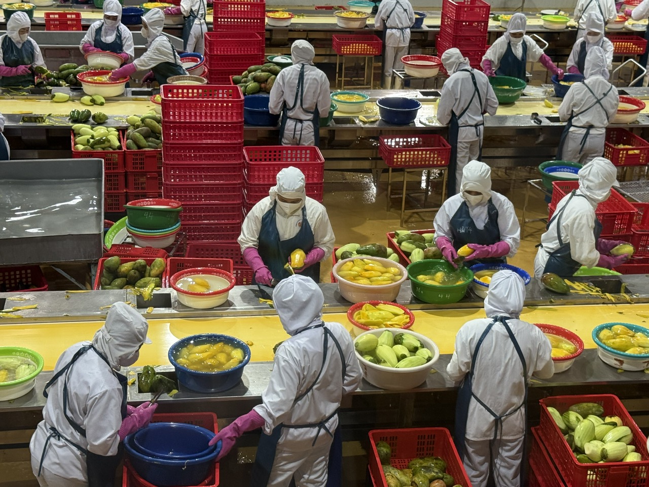 z6873010765587e4127a9ab16a17508dd9eb43f9a2df05-1754304512337763880730