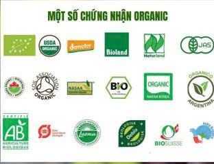 z696261408336494d32bae5025b49993c1eeae4ff6eea0