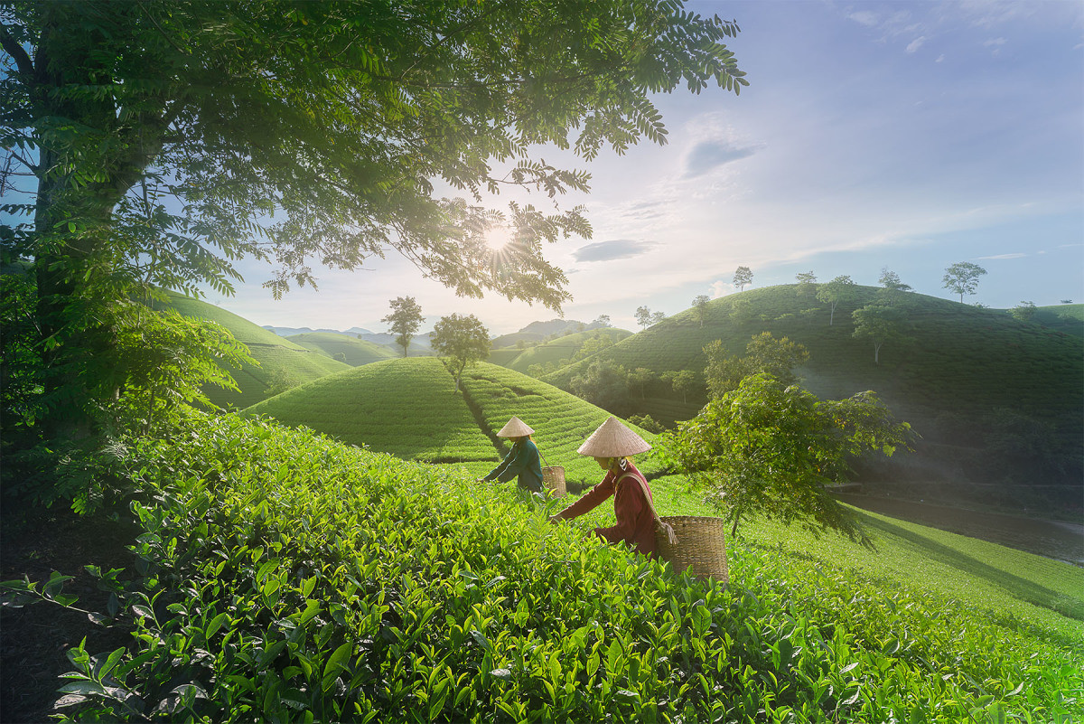 203812257c29fba6881a7aec27b02fb00a03ab3